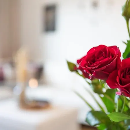 Vasko Luxurious Suites, Hiisi Apartamento