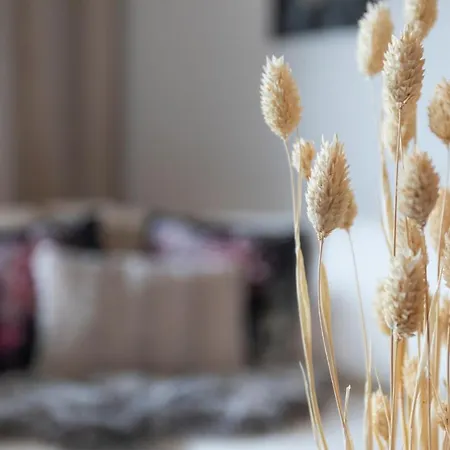 Apartamento Vasko Luxurious Suites, Hiisi