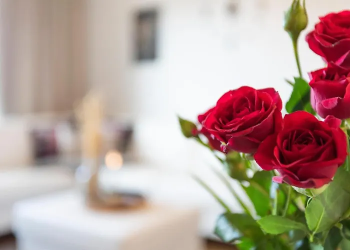 Vasko Luxurious Suites, Hiisi Apartamento