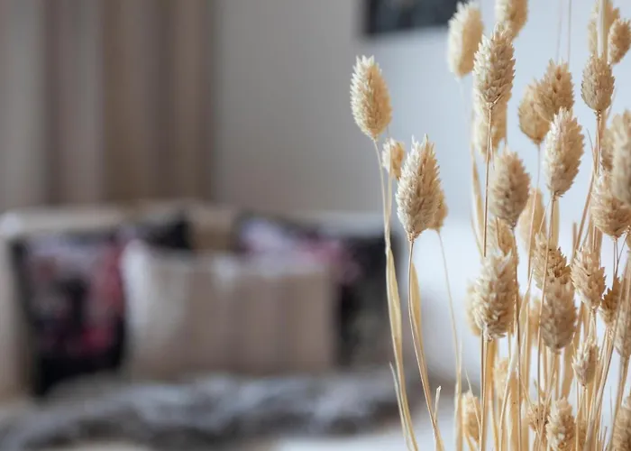 Apartamento Vasko Luxurious Suites, Hiisi